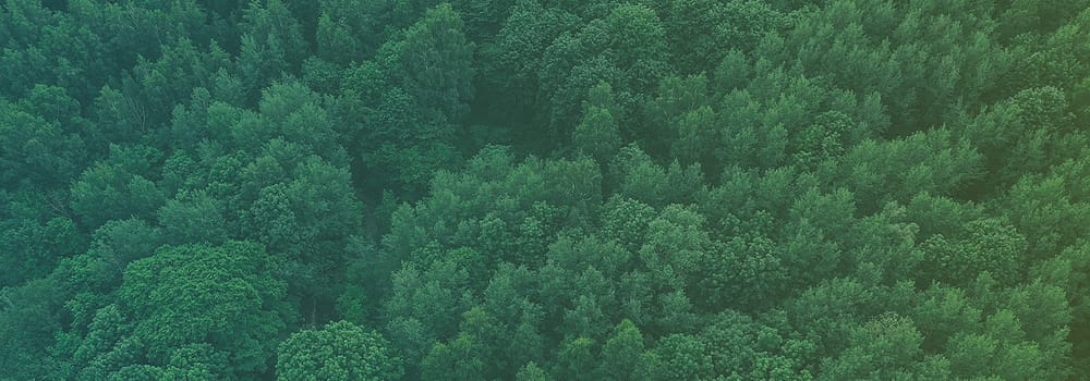 Con NaturalWash scegli la sostenibilità ambientale