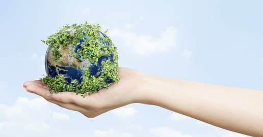 Con NaturalWash scegli la sostenibilità ambientale